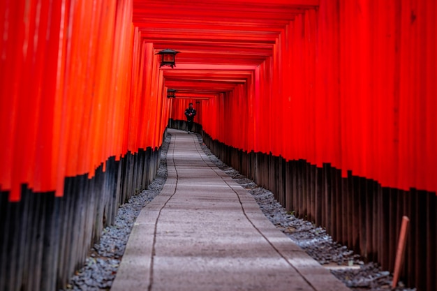 Santuario Fushimi Inari en Kyoto