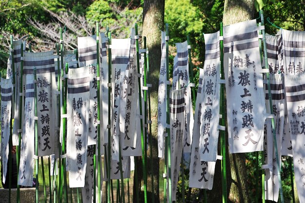 Foto santuário tsurugaoka hachimangu kamakura japão