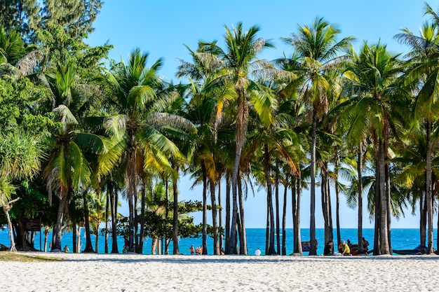 Sanya, Hainan, China - 20 de fevereiro de 2020: As palmeiras tropicais e plantas em dia ensolarado na costa da Baía de Xiaodonghai, no mar do Sul da China. Natureza Paisagem.