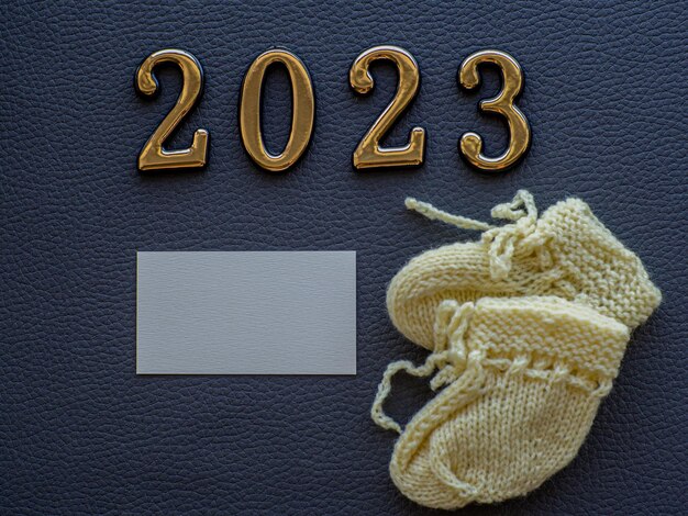 Sapatos de bebê pequenos com tipografia 2023