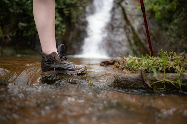 Sapatos de caminhada em um tronco ou rochas na floresta