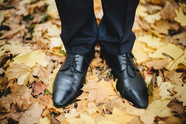 Sapatos de casamento do noivo closeup no chão com folhas douradas no outono