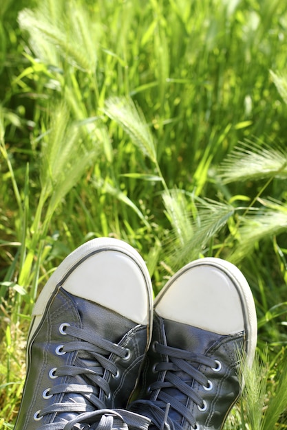 Sapatos de prata relaxados tendo campo de Prado de descanso