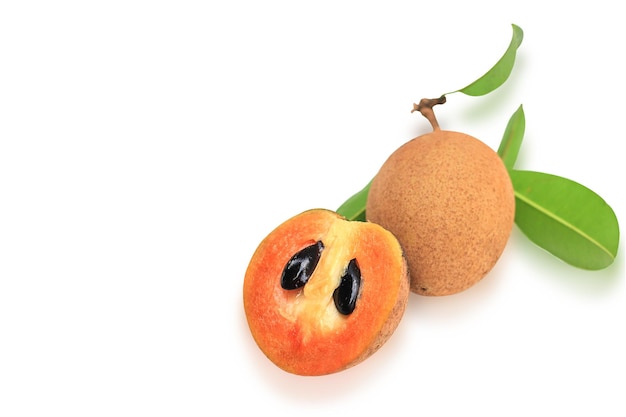 Sapodilla ameixa Sapota Manilkara zapota LP Royen separados por traçado de recorte