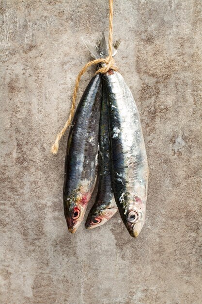 Sardinas frescas colgando de un hilo de sisal sobre un fondo de mármol