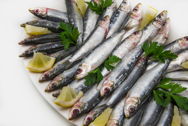 Sardinas frescas