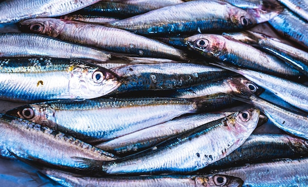Sardinhas frescas em uma foto rpw cheia de sardinhas frescas capturadas no mar