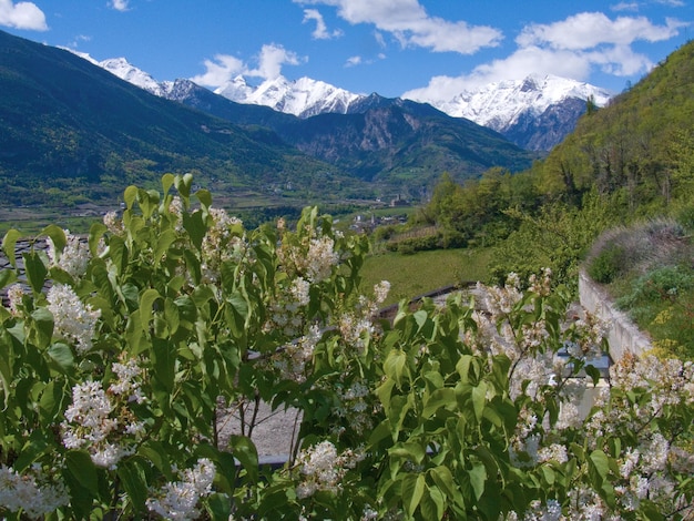 Sarreval d'aosteitalie