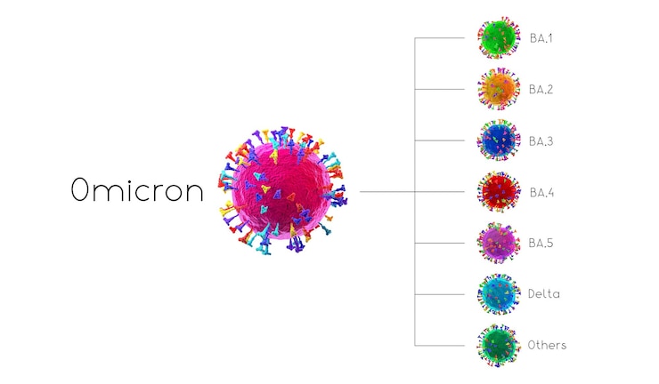Foto sars-cov-2 covid-19 coronavirus omicron variantes