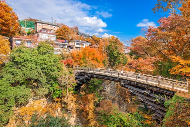 Foto saruhashi-affenbrücke