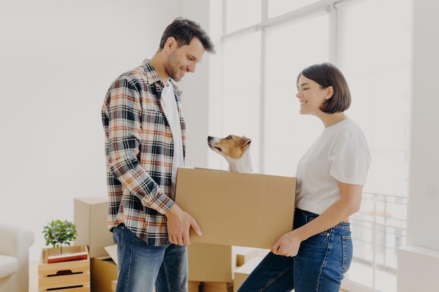 Satisfeito casal de família adorável carrega caixa de papelão com seu animal de estimação se muda para a nova residência prepare-se para a celebração da realocação convide amigos em apartamento ocupado desembalando estande de propriedade na sala de estar