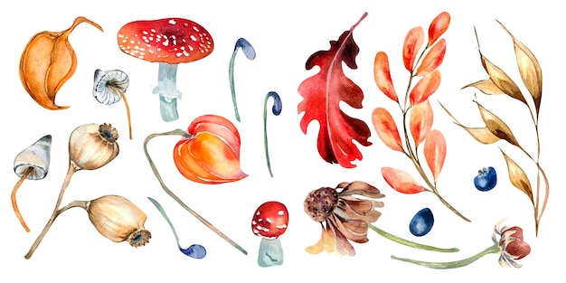 Satz bunte Herbstblätter und Pilzaquarellillustration lokalisiert auf Weiß