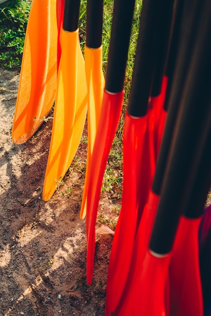 Satz Farbpelzpaddel für Kajaks und Kanus Sport viele Plastikpaddel Vermietung von Ausrüstung zum Schwimmen im Meer oder im Sommer im Meer