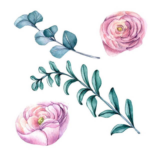 Satz rosa blumen mit grüner blattaquarellillustration lokalisiert