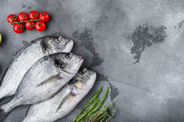 Satz Seebrasse oder vergoldeter Kopfbrassen-Orata-Fisch mit Kräuter-Pfeffer-Limetten-Tomate zum Kochen und Grillen auf grauem strukturiertem Tisch, Draufsicht.