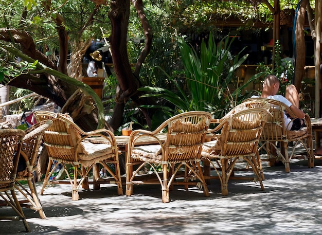 Satz von Gartenmöbeln aus Holz unter schattigen Bäumen Hintergrund im Gartenbereich Sommer-Relax-Konzept Abgeschiedener Tisch mit bequemen Stühlen unter grüner Vegetation Garten mit gemütlichen Korbmöbeln