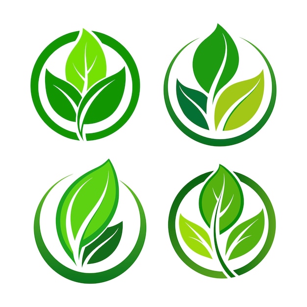 Satz von Grünblatt-Design-Elementen Grüner Sprossen Grüner Blatt-Symbol-Vektor-Ikonensatz