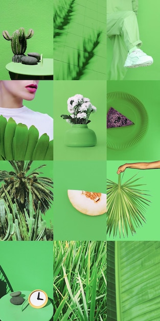 Foto satz von trendigen ästhetischen fotocollagen minimalistische bilder einer top-farbe bio green eco moodboard