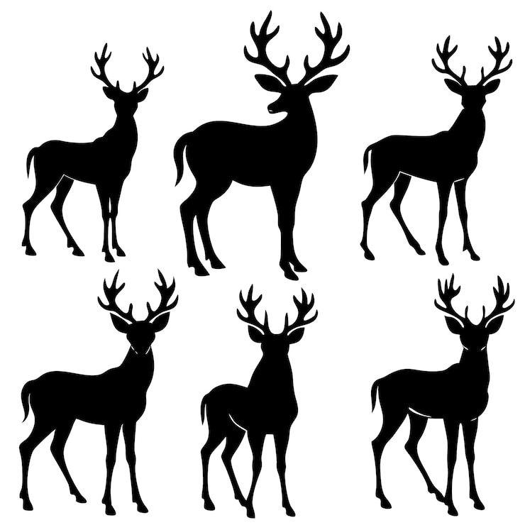 Foto satz von wildhirsch-tier-vektor-silhouetten, die auf einem weißen hintergrund isoliert sind