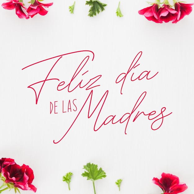Saudações do dia das mães em espanhol
