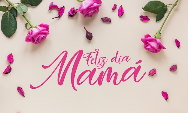 Foto saudações do dia das mães em espanhol