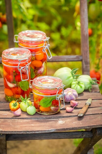 Saudáveis e saborosos tomates em conserva na estufa de verão