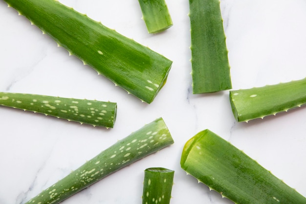 Saúde e bem-estar da haste de aloe vera verde natural