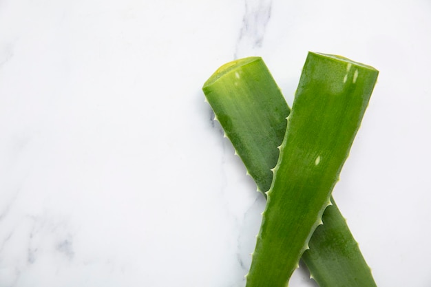 Saúde e bem-estar da haste de aloe vera verde natural