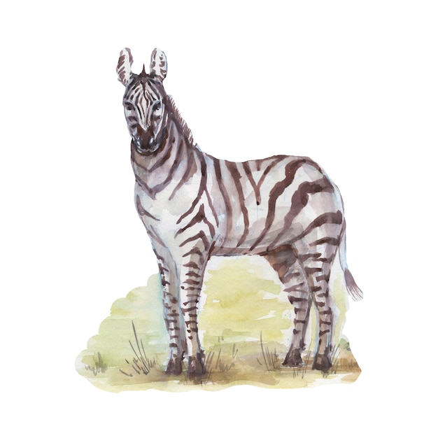 Savannah Africa Zebra Giraffe Safari Tiere Aquarell handgezeichnet