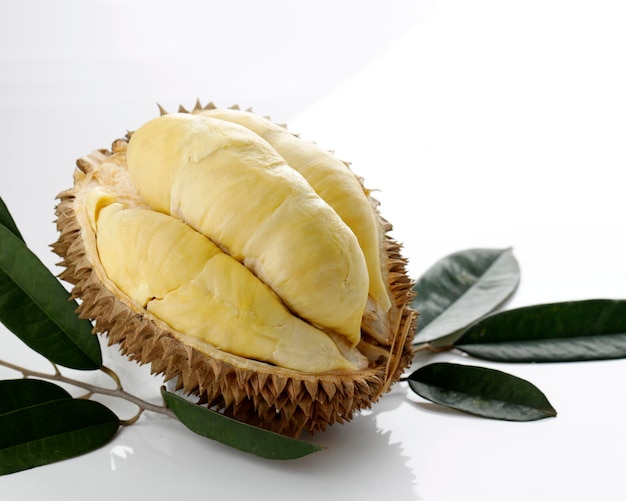 Sazonal durian king of fruits montong tailândia maduro durian saboroso durian que foi descascado