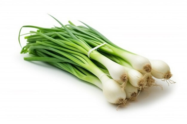 Foto scallion isolado em fundo brancogenerative ai