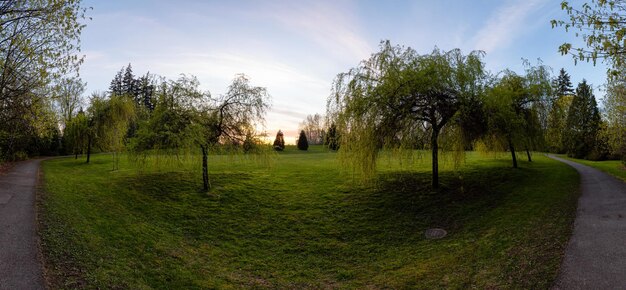 Scenic Trail in einem grünen Park mit Bäumen Colorful Sunset Sky