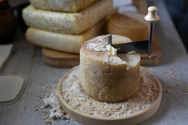 Schabevorrichtung für Schweizer Käse Tete de Moine Schöner, natürlicher, leicht gereifter Käse