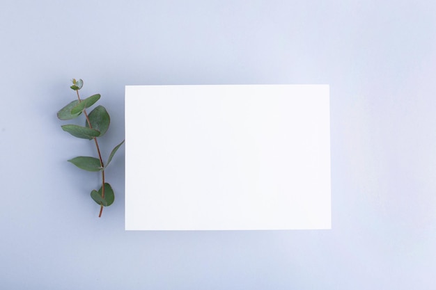 Schablonenpapier mit grünem Pflanzenschatten auf pastellbeigem Hintergrund tolles Design für jeden Zweck abs