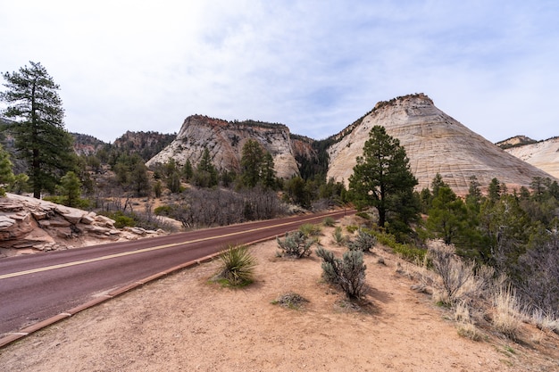 Schachbrett Mesa im Zion Nationalpark