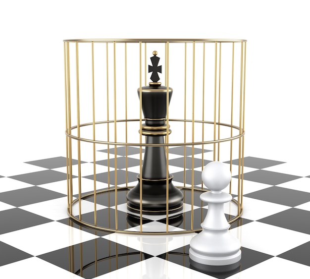 Foto schachkönig zu schützen. getrennt auf weiß. dreidimensionales rendering