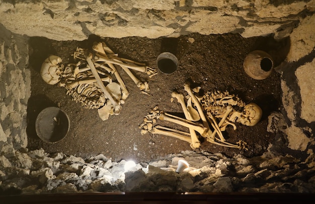 Foto schädel und knochen aus der grube auf dem gruseligen gefangenenfriedhof gegraben