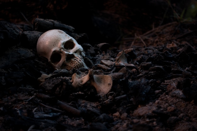 Schädel und Knochen gruben sich aus der Grube auf dem gruseligen Friedhof, in dem schwaches Licht herrscht