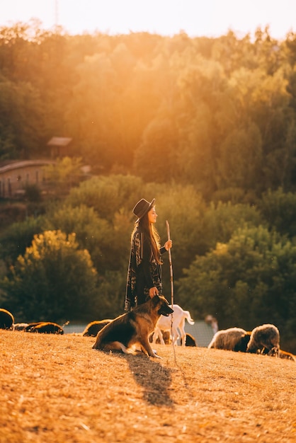 Schäferin mit einem Hund weidet eine Herde auf dem Rasen