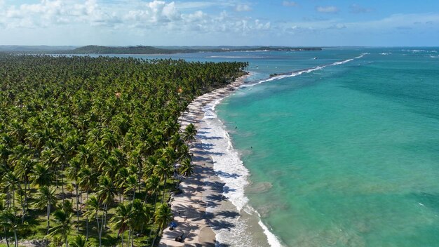 Schafstrand in Tamandare in Pernambuco, Brasilien