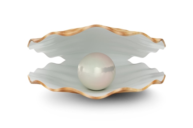 Schale mit Perle im Inneren. Natürliche offene Perlenschale. 3D-Darstellung