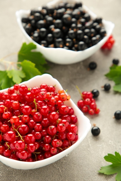 Schalen mit reifen roten und schwarzen Johannisbeeren auf grauem Hintergrund Vertikales Foto