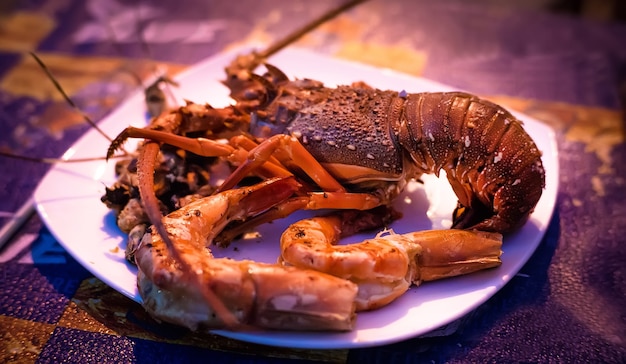 Schalentierplatte mit Krustentier-Meeresfrüchten mit frischem Hummer, Muscheln, Garnelen als Hintergrund für ein Gourmet-Abendessen im Meer