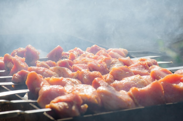 Schaschlik auf dem Grill grillen