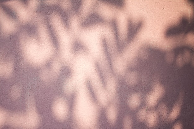Schatten auf schönen farbigen Hintergrund. Weicher Fokus.
