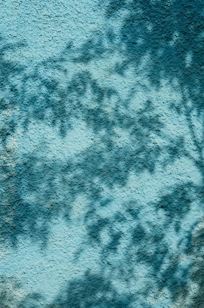 Schatten der Blätter auf einem blauen Wandbild