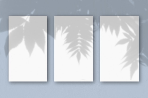 Foto schatten einer exotischen pflanze auf mehreren horizontalen und vertikalen blättern aus weißem strukturiertem papier