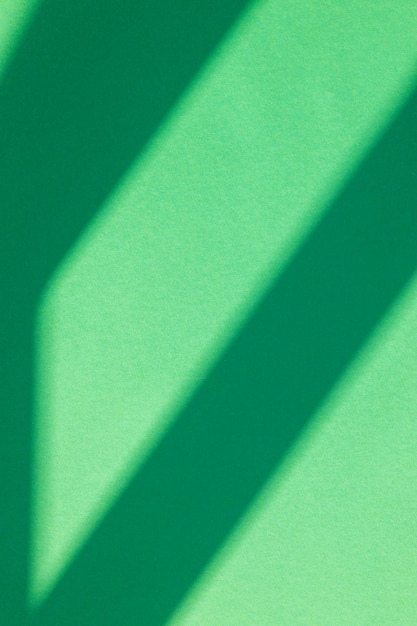 Schatten von der Sonne auf der grünen niedrigen Mauer Kontrastierender Hintergrund mit Schatten