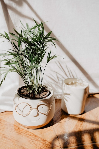 Schatten von Kaffee und Palmen