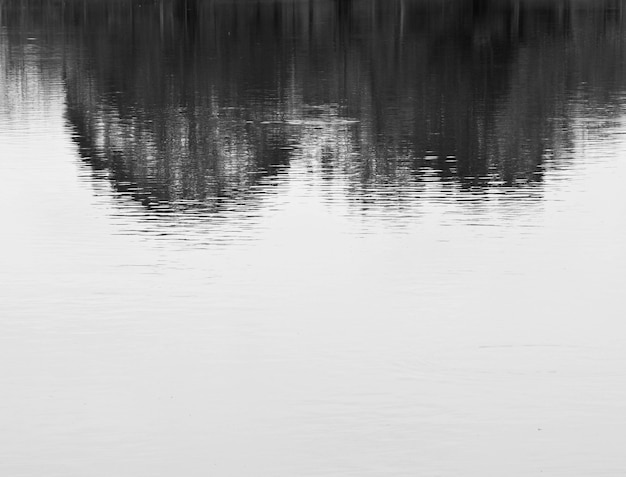 Schattenbaumreflexion im Wasser - ruhiger Hintergrund